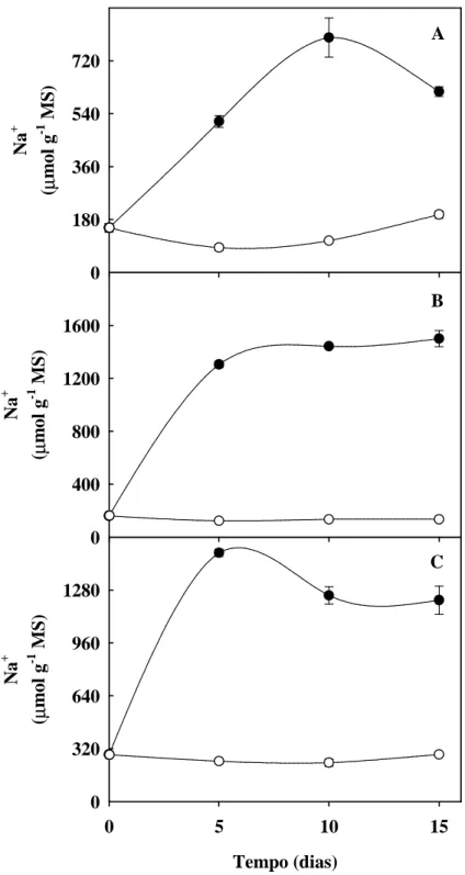Figura  9.  Teores  de  sódio  em  folhas  (A),  colmos  +  bainha  (B),  e  raízes  (C)  de  plantas  de  sorgo  forrageiro  (genótipo CSF 18) crescidas em solução nutritiva de Hoagland 1:2 (controle -    ) ou solução nutritiva contendo  NaCl a 75 mM (est