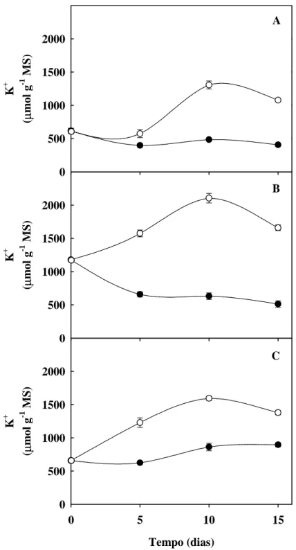 Figura 10. Teores de potássio em folhas (A), colmos + bainha (B), e raízes (C) de plantas de sorgo forrageiro  (genótipo CSF 18) crescidas em solução nutritiva de Hoagland 1:2 (controle -    ) ou solução nutritiva contendo  NaCl a 75 mM (estresse salino - 