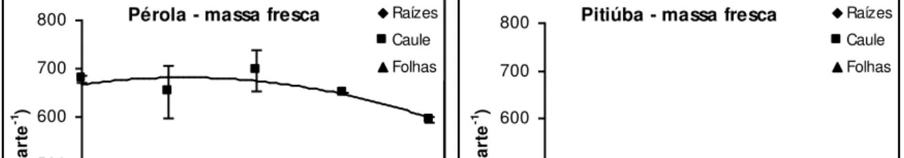 Figura 9: Aspecto morfológico de plântulas das cultivares Pérola (acima) e Pitiúba (abaixo) de feijão- feijão-caupi submetidas a tratamentos salinos em condições controladas