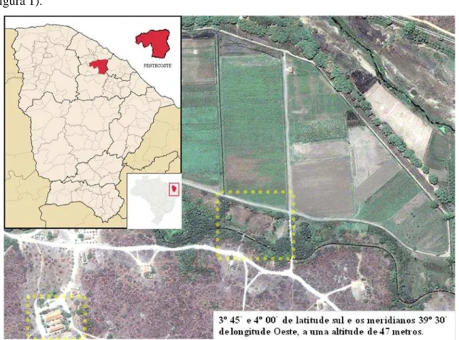 Figura  1  –   Imagem  por  satélite  da  área  experimental  setor  de  irrigação  da  FEVC-UFC