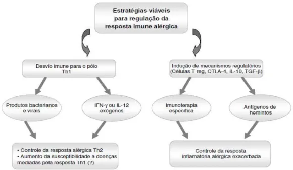 Figura 3: Estratégias viáveis para regulação da resposta imune alérgica. 