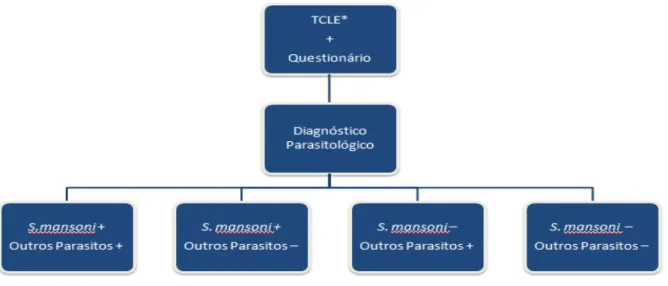 Figura 6: Fluxograma dos métodos realizados para formação dos grupos testados. 