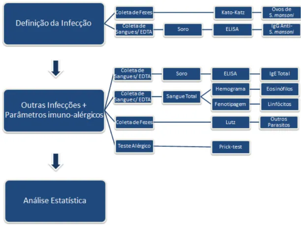 Figura 7: Fluxograma das etapas desenvolvidas no presente estudo. 