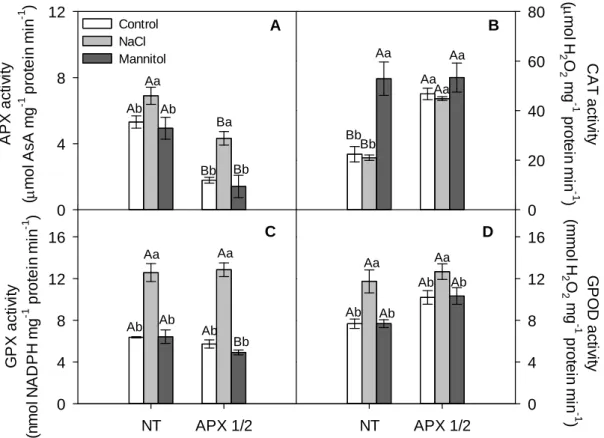 Figure 3. Changes in (A) APX activity, (B) CAT activity, (C) GPX activity and (D) GPOD  activity in roots of NT and APX1/2 plants exposed to iso-osmotic (  s= - 0,62 MPa) NaCl and  mannitol solutions for eight days
