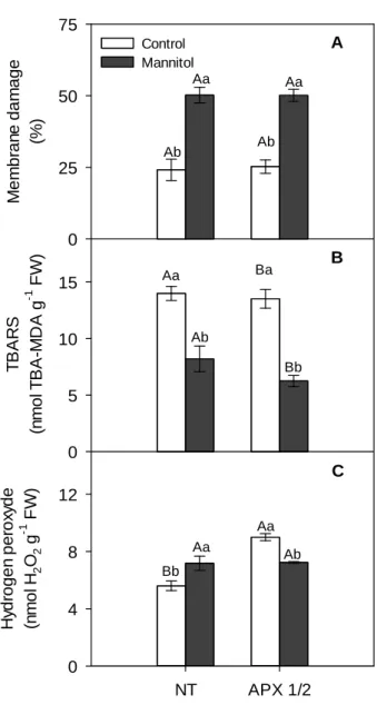 Figure 4. Changes in (A) Membrane damage, (B) TBARS and (C) hydrogen peroxide content  in roots of NT and APX1/2 plants exposed to iso-osmotic (  s= - 0,62 MPa) mannitol solution  for two days