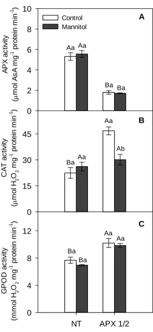 Figure 5. Changes in (A) APX activity, (B) CAT activity and (C) GPOD activity in roots of  NT and APX1/2 plants exposed to iso-osmotic (  s= - 0,62 MPa) mannitol solution for two  days