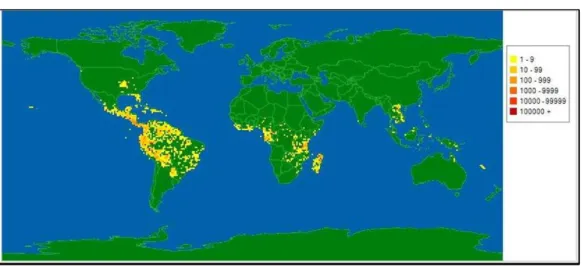 Figura 1 Distribuição geográfica da família Annonaceae. Adaptado de  http://www.tropicos.org/Name/42000007?tab=maps (acesso em fevereiro de 2016) 