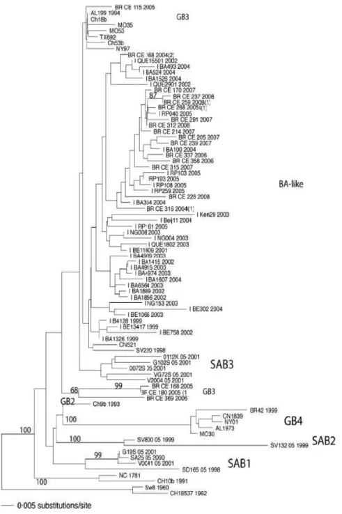 Figure 5. HRSV subgroup B phylogenetic tree. Sequences of 270 nucleotides of the variable region of G protein gene were compared with published sequences from GenBank