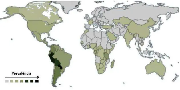 Figura 1 - Mapa de distribuição da Família Fabaceae no mundo, representada pelas áreas  coloridas, com gradação de cor segundo a ocorrência.