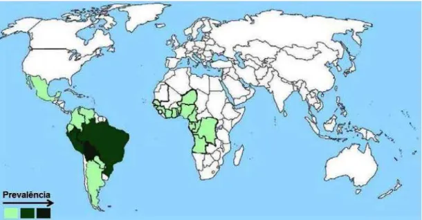 Figura  2 -  Mapa  de  distribuição  do gênero  Piptadenia  no  mundo,  representada  nas  áreas  verdes, com gradação de cor segundo a ocorrência.