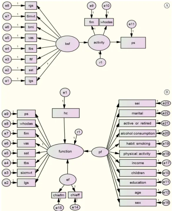 Figure 2.  Graphic representation of the structural equation models exploring the relationships among factors representing components of the ICF 
