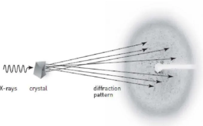 Figura 10. Diagrama representando a difração do cristal por raios X e a formação do padrão  de difração
