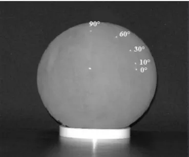 Figura 1.  Esfera de borracha com ângulos demarcados de 10º, 30º,  60º e 90º utilizada para os registros fotográficos.
