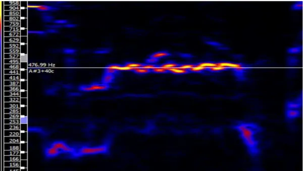 Fig. 18 Ampliação do espectrograma para a visualização do vibrato  no fonema “ê” na “tônica fixa”