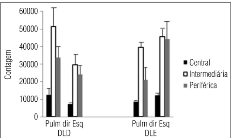 Figura 4.  Deposição de radioaerossol nas regiões pulmonares central, 