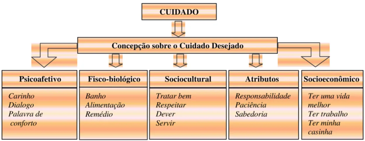 FIGURA 5. CONCEPÇÕES SOBRE O CUIDADO DESEJADO PELOS PORTADORES DE DIABETES DA  UNIDADE BÁSICA DE SAÚDE DE JEQUIÉ, BAHIA, 2002 