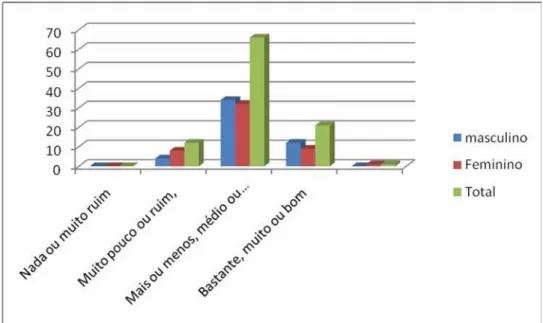 Gráfico 6 – Distribuição das respostas do domínio meio  ambiente, por sexo. n=100. Coari/AM, 2009 