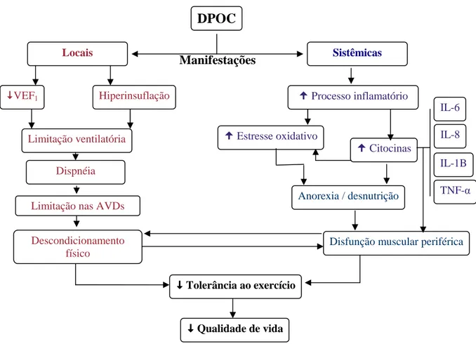 Figura 02 - Fisiopatologia das manifestações sistêmicas e locais da DPOC. 