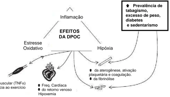 Figura  03  -  Possível  mecanismo  envolvido  nas  alterações  sistêmicas  na  DPOC  e  o  risco de doenças cardiovasculares