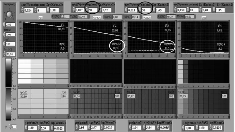 Figura 8.  Simulações no software com pele (4mm), gordura e músculo (30mm cada) e osso (10mm de espessura), durante 180 segundos, 