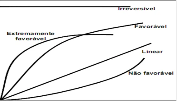 Figura 03. Tipos de isotermas de adsorção [30] 