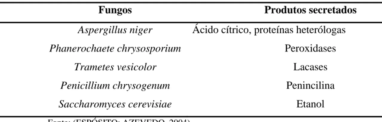 Tabela 4 .  Fungos de importância industrial e econômica, e compostos produzidos pelos mesmos.