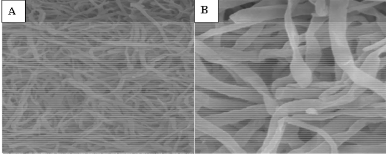 Figura 11- Morfologia da superfície dos ‘pellets” por microscopia eletrônica de varredura em um aumento de  500 vezes a 20kV (A) e aumento de 2000 vezes a 20 kV(B)