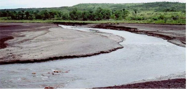Fig. 4 - Assoreamento da represa Ribeirão do Torto, em Brasília-DF  Fonte: Fonseca (2011) 