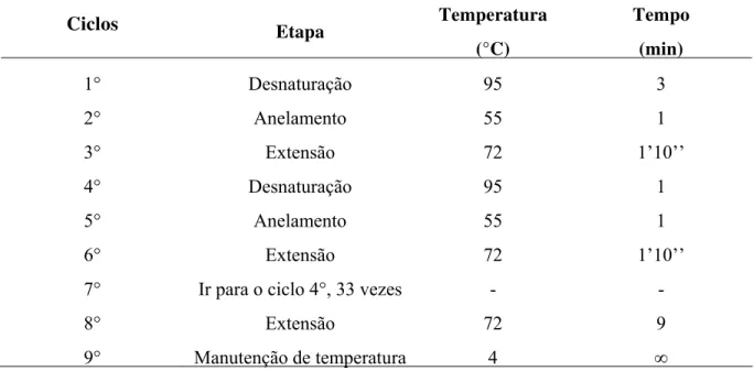 TABELA 04 - Condições de amplificação da região do rDNA ITS 1 editadas para o programa 