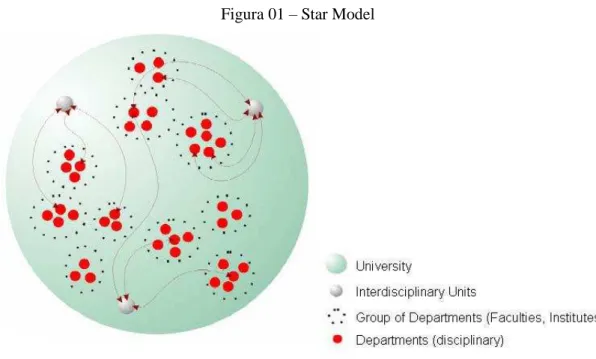 Figura 01  –  Star Model 