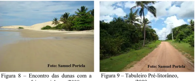 Figura 8 – Encontro das dunas com a  faixa praial, mar/2008. 