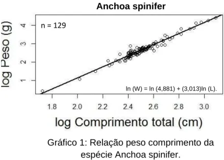 Gráfico 1: Relação peso comprimento da  espécie Anchoa spinifer. 