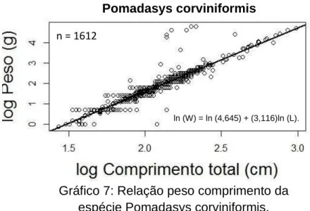 Gráfico 7: Relação peso comprimento da  espécie Pomadasys corviniformis. 