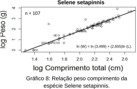 Gráfico 8: Relação peso comprimento da  espécie Selene setapinnis. 
