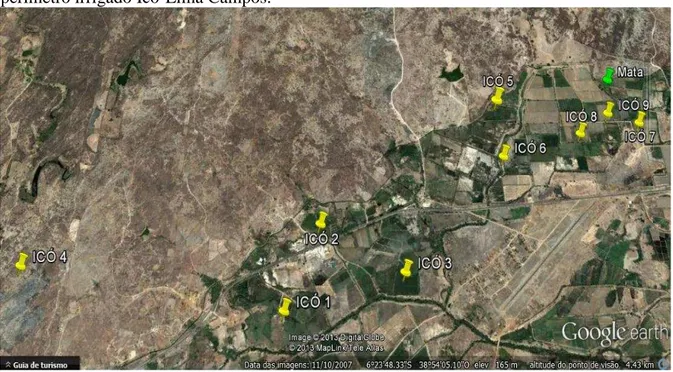 Figura  4  -  Vista  aérea  dos  lotes  onde  foram  coletadas  as  amostras  de  solo  referentes  ao  perímetro irrigado Icó-Lima Campos