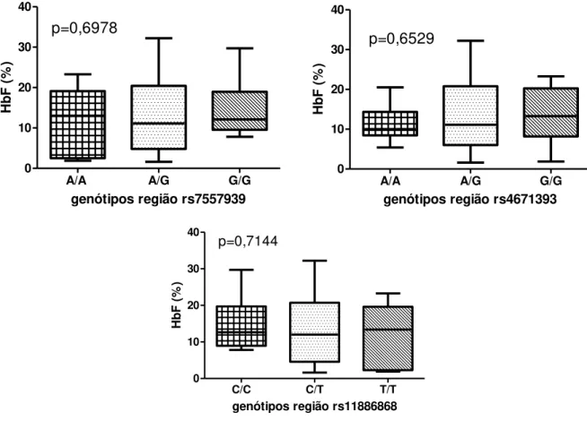 Figura 6 - Concentração de HbF entre os genótipos das regiões rs7557939, rs4671393 e  rs1186868 do gene BCL11A