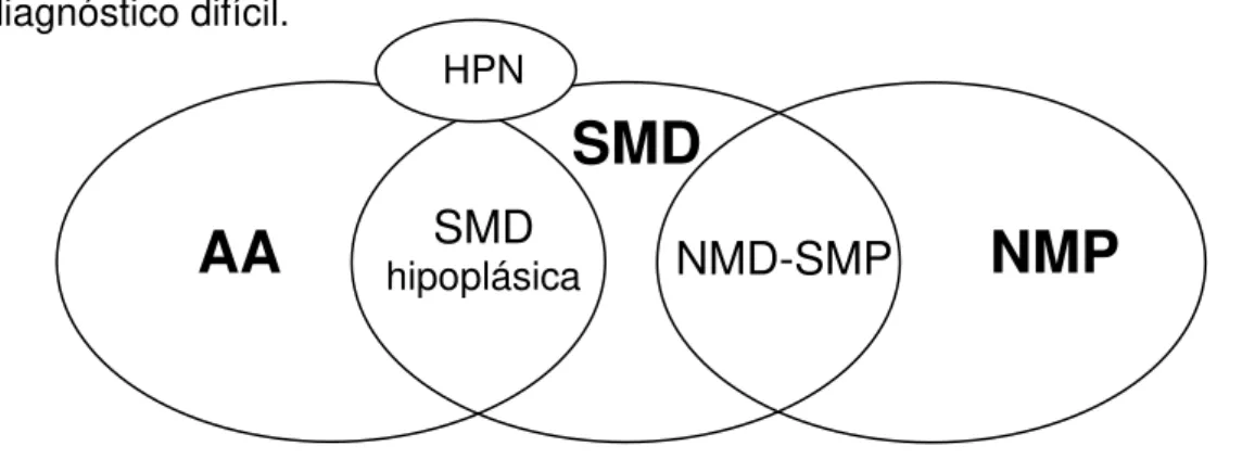 Figura  1  -  Doenças  da  célula  progenitora  hematopoética:  interface  e  situações  de  diagnóstico difícil
