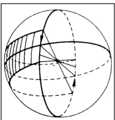 Figura 7: O plano projetivo contém uma faixa de M ̈ bius 