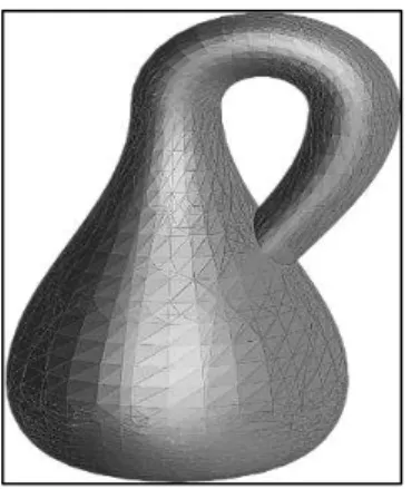 Figura 9: Garrafa de Klein 