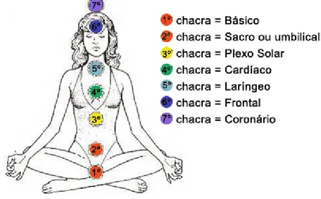Figura 2  –  Disposição dos 7 chakras principais no corpo humano 