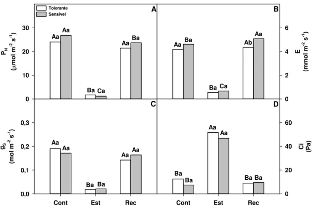 Figura 1: Fotossíntese líquida (A), transpiração foliar (B), condutância estomática (C) e pressão parcial de CO 2