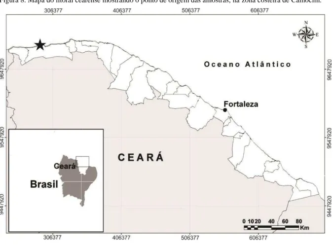 Figura 8. Mapa do litoral cearense mostrando o ponto de origem das amostras, na zona costeira de Camocim