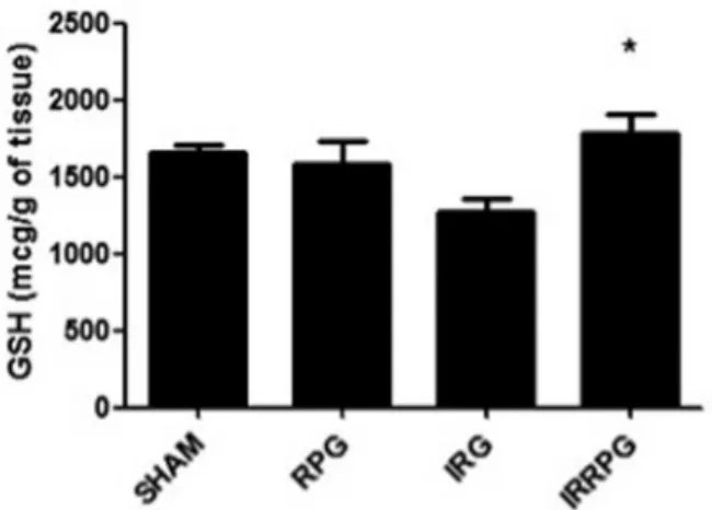 Fig. 4. Red propolis improves glutathione (GSH) levels in animals with I/R injury.