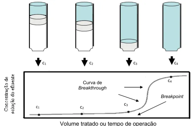 Figura 1.4 Representação de uma curva de “Breakthrough” 