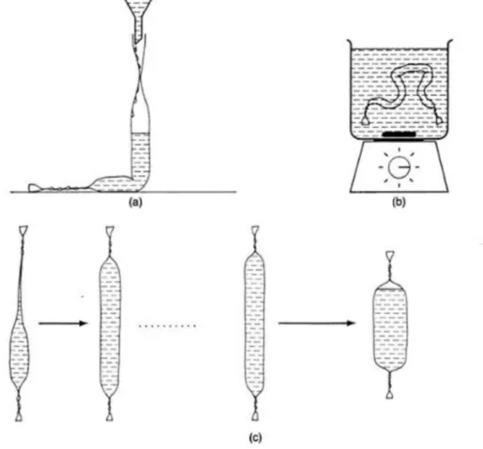 Figura  2.8  Esquema  de  diálise  da  solução  advinda  da  precipitação  proteica.  (a)  Enchimento  da  membrana  de  diálise  (b)  Agitação  e  constante  troca  da  água  (c)  Aumento  de  volume devido à osmose que ocorre no sistema.