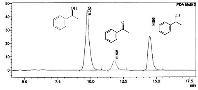 Figura 19. Cromatograma CLAE da mistura obtida na biorredução da acetofenona (2) com  SGB