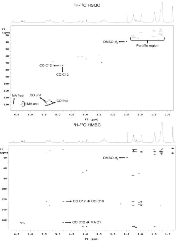 Figura 12 – Espectros de RMN  1 H e  13 C, HSQC e HMBC para o maleato de óleo de  mamona