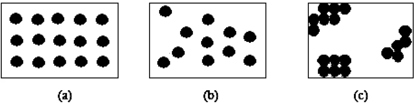 Figura 5 - Padrões de distribuição. Em que cada círculo representa uma planta doente: (a)  padrão regular, (b) padrão aleatório e (c) padrão agregado