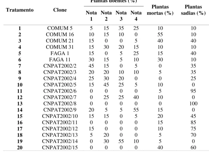Tabela 2  –  Percentagens de plantas com resinose, mortas e sadias de em clones de cajueiro  aos 92 meses após o plantio (MAP)