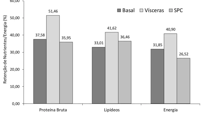 Figura 4.5  –  Retenção (%) de proteína, lipídios e energia das dietas experimentais em amostras  do músculo caudal do robalo-flecha